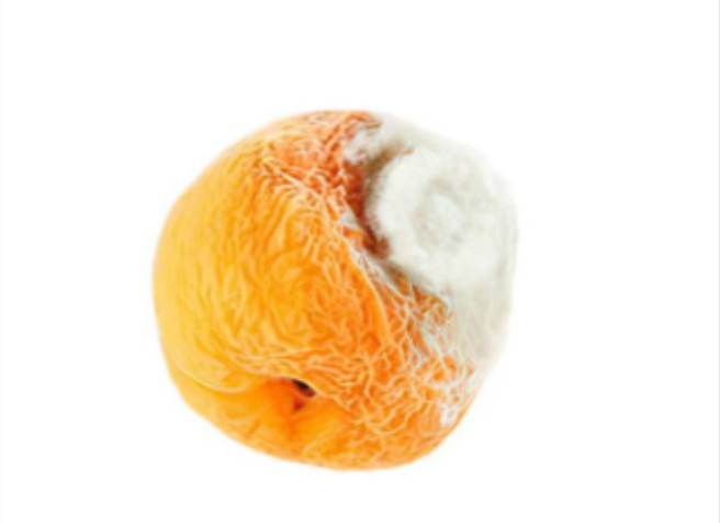 image-20250805122503853
